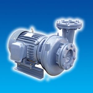 Máy bơm ly tâm dạng xoáy đầu gang